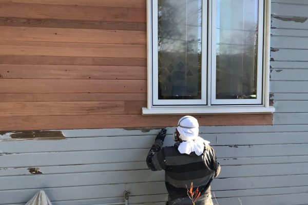 Dry Rot repair Dry Rot repair