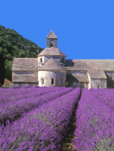 Okzitanien (Languedoc-Roussillon) und die Provence| 02.07. - 09.07.2024
