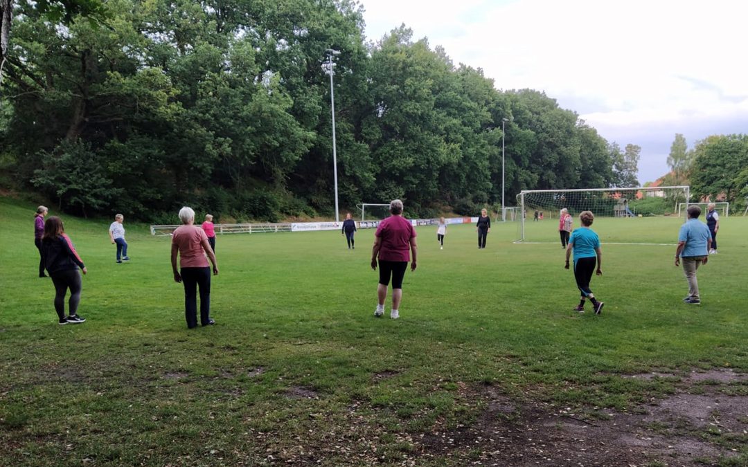 „Qigong“ und „Bewegungstraining im Freien nach Heinz Heigl“ starten wieder