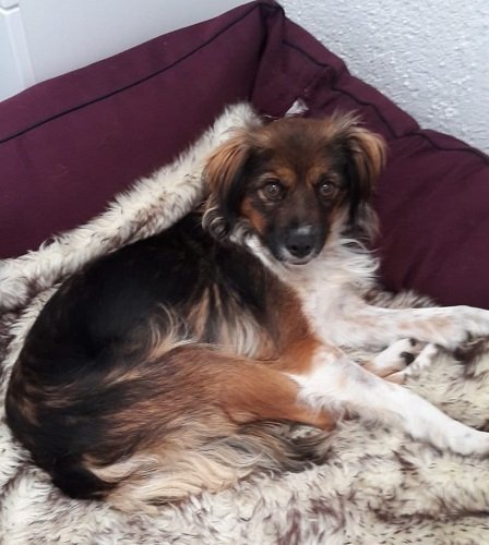 Mehr über den Artikel erfahren Lola