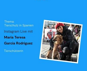 Mehr über den Artikel erfahren Live-Interview mit Maria Teresa Garcia Rodriguez – veto_tierschutz