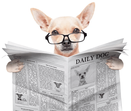 Mehr über den Artikel erfahren Newsletter Mai | Juni 2025