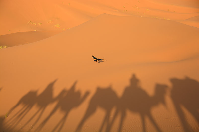 fez-merzouga-boumalne-dades-ait-ben-haddou-marrakech