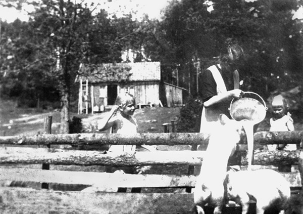 Mating av griser på Sørbysetra i Trømborgfjella i Eidsberg i 1919. Aagot Trømborg (g. Klerud) mater griser. Jentene Gerd og Edith fra Drammen ser på. Foto: Johan Svenneby.