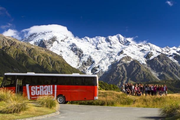 En Stray-turné är ett hållbart sätt att utforska Nya Zeeland