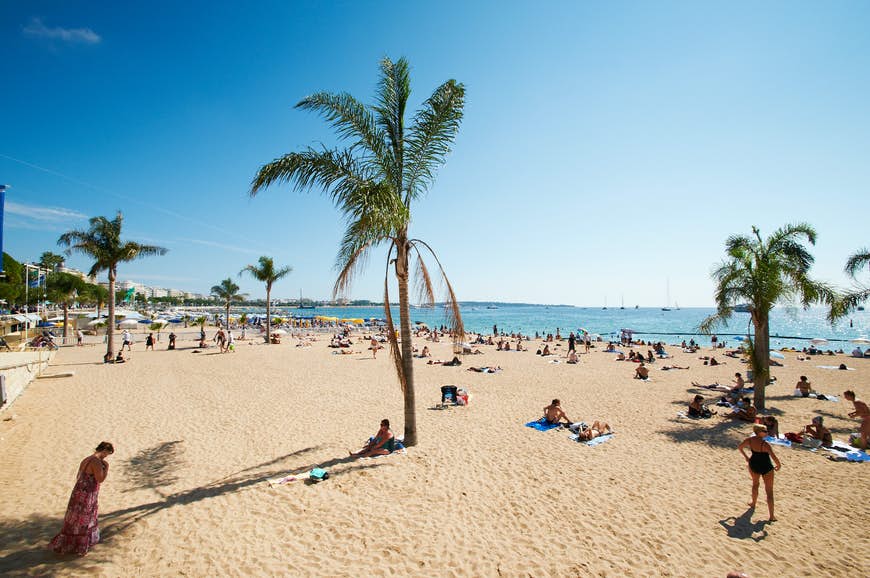 Ljust blått hav och himmel vid en strand i Barcelona, ​​där solbadare ligger på gyllene sand översållad med palmer
