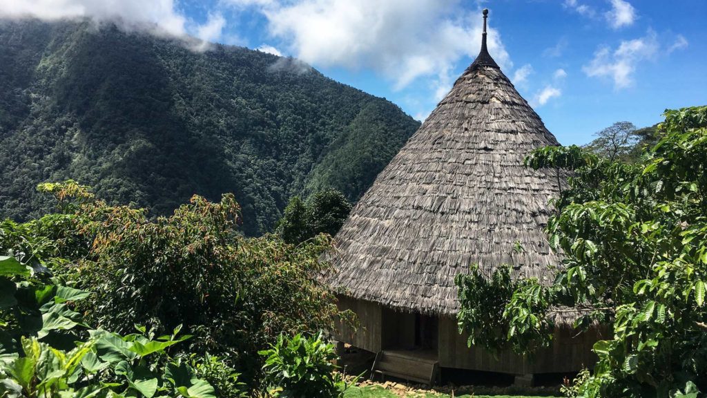 Ett av de traditionella Wae Rebo-husen i bergen i Flores