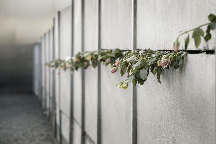 Rosor som sticker ut från små utrymmen i Berlinmuren. 
