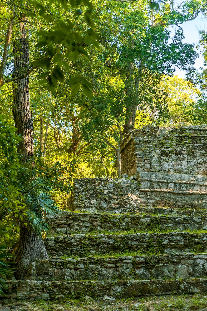 Ruinerna av Muyil (även känd som Chunyaxché), mitt i en frodig tropisk skog