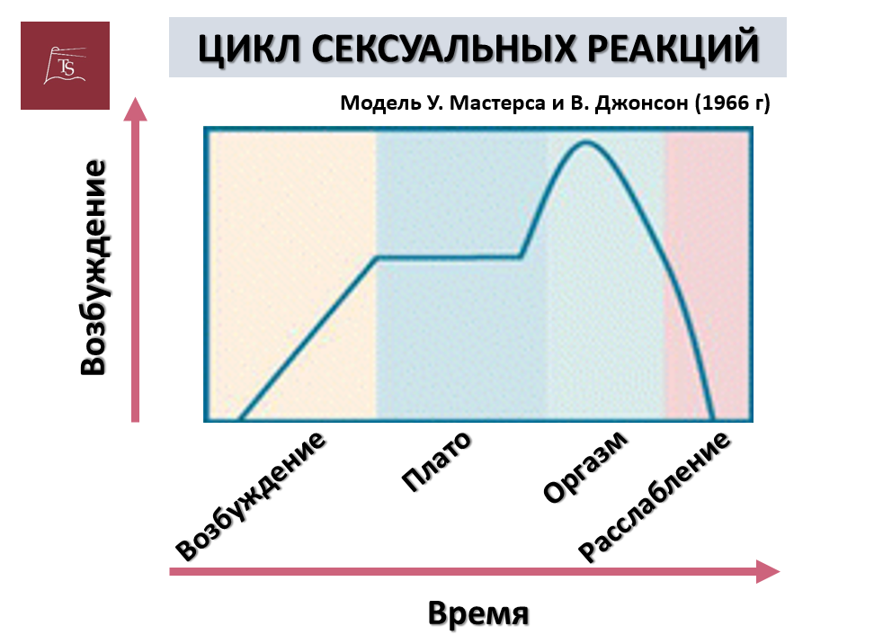 Эндокринология женской сексуальности