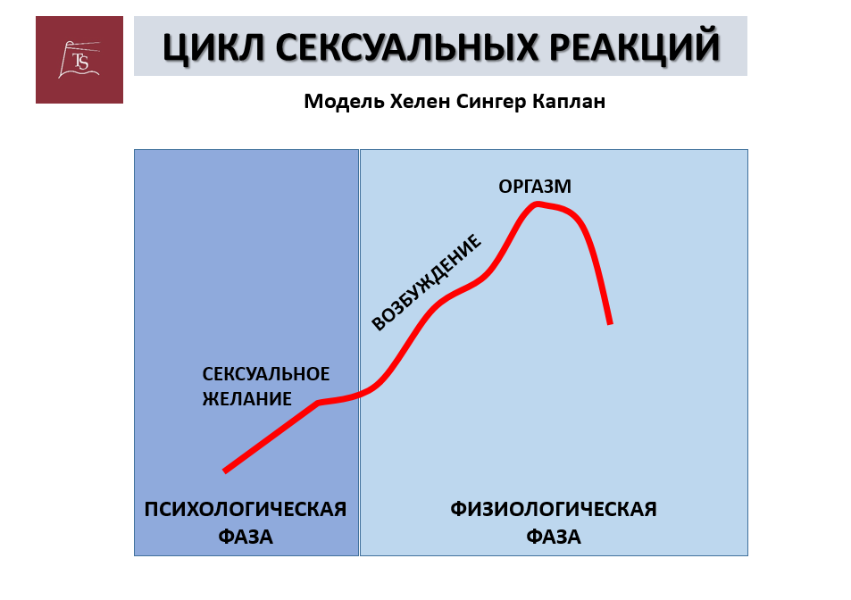 Как работает женская сексуальность, и что ей мешает (18+)