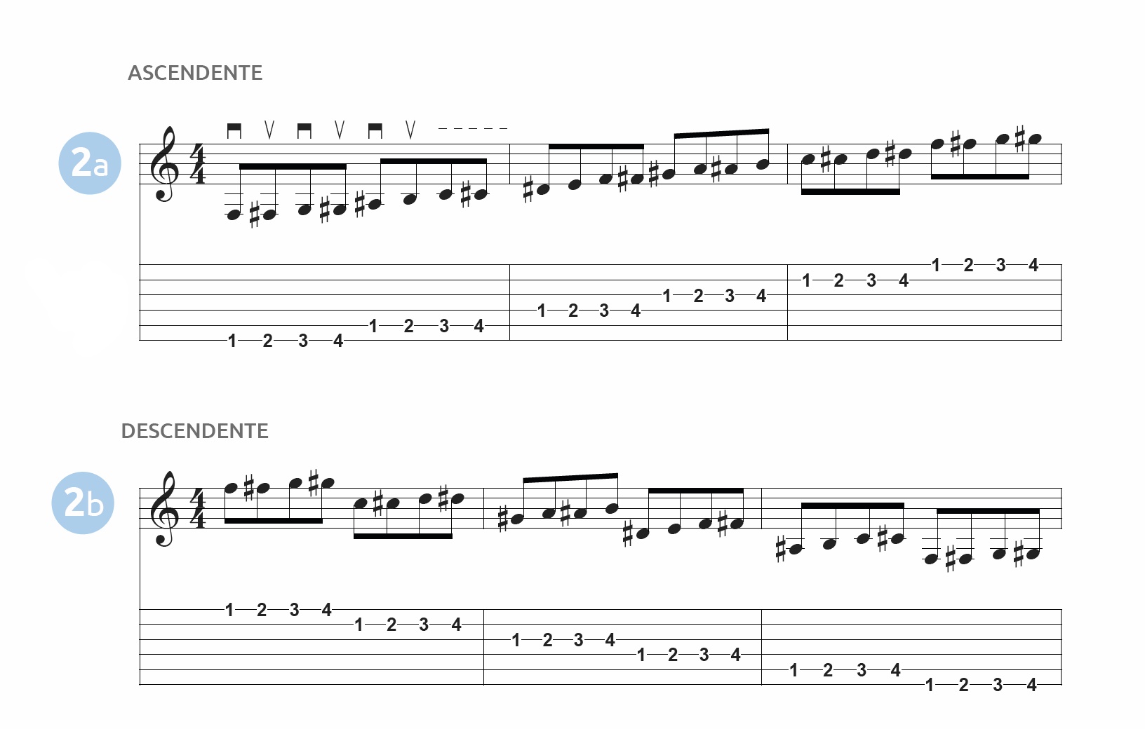 Técnica base | Ejercicio nº2 | Spider | Tutoriales Para Guitarristas