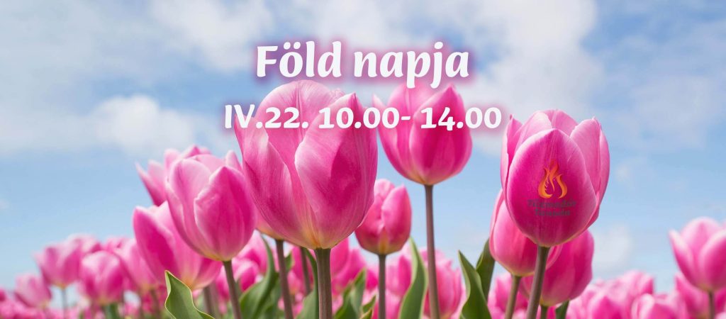 fold-napja