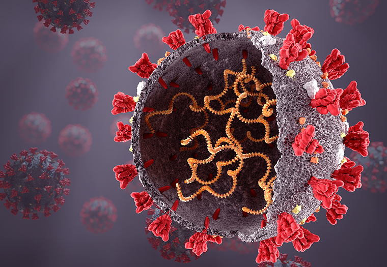 Jesu li cjepiva uzrok pojave delta-soja koronavirusa?