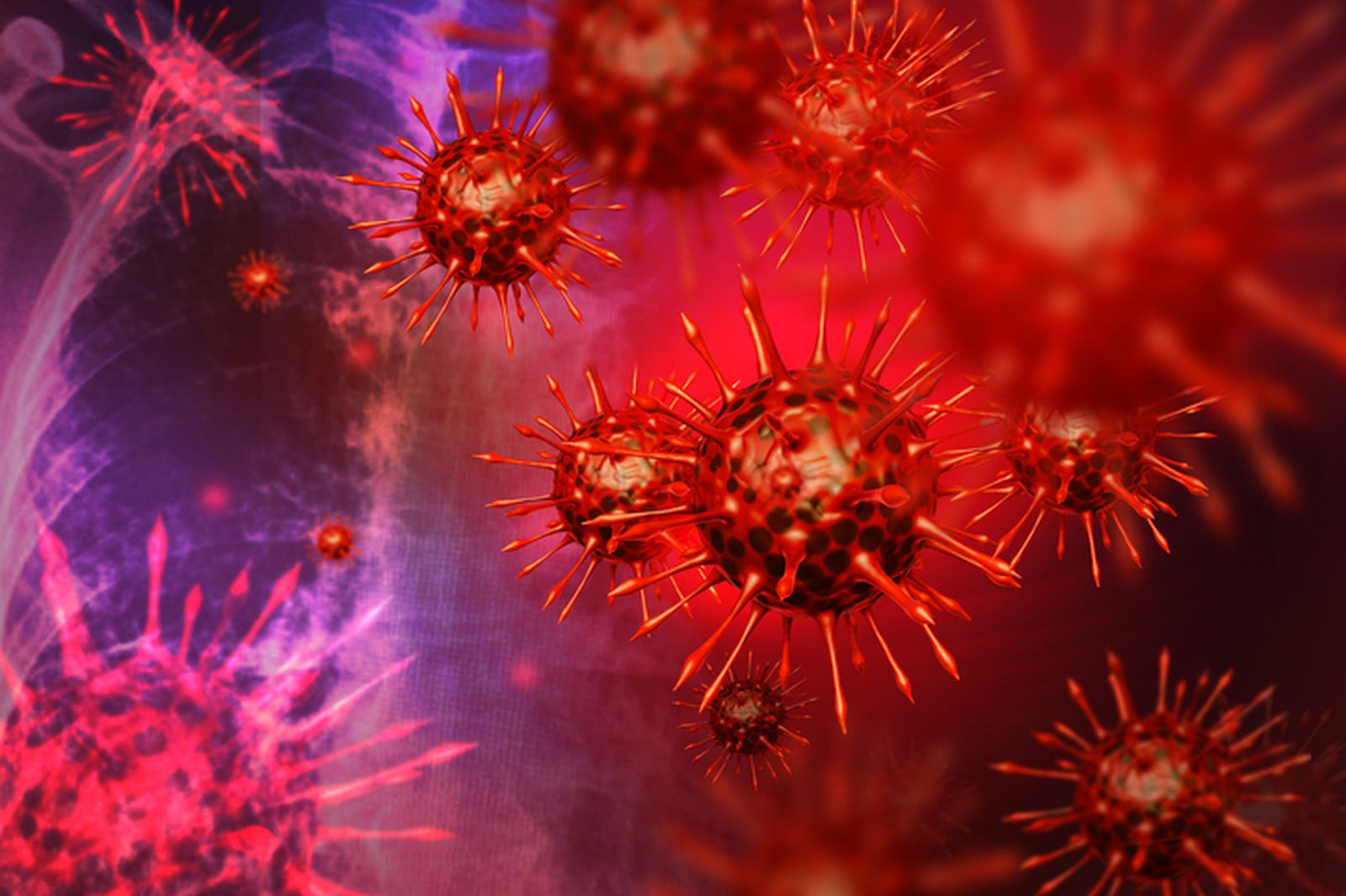 Otkriven posve novi soj koronavirusa – NeoCoV: Znanstvenici upozoravaju na biološku prijetnju te visoke stope smrtnosti i prijenosa