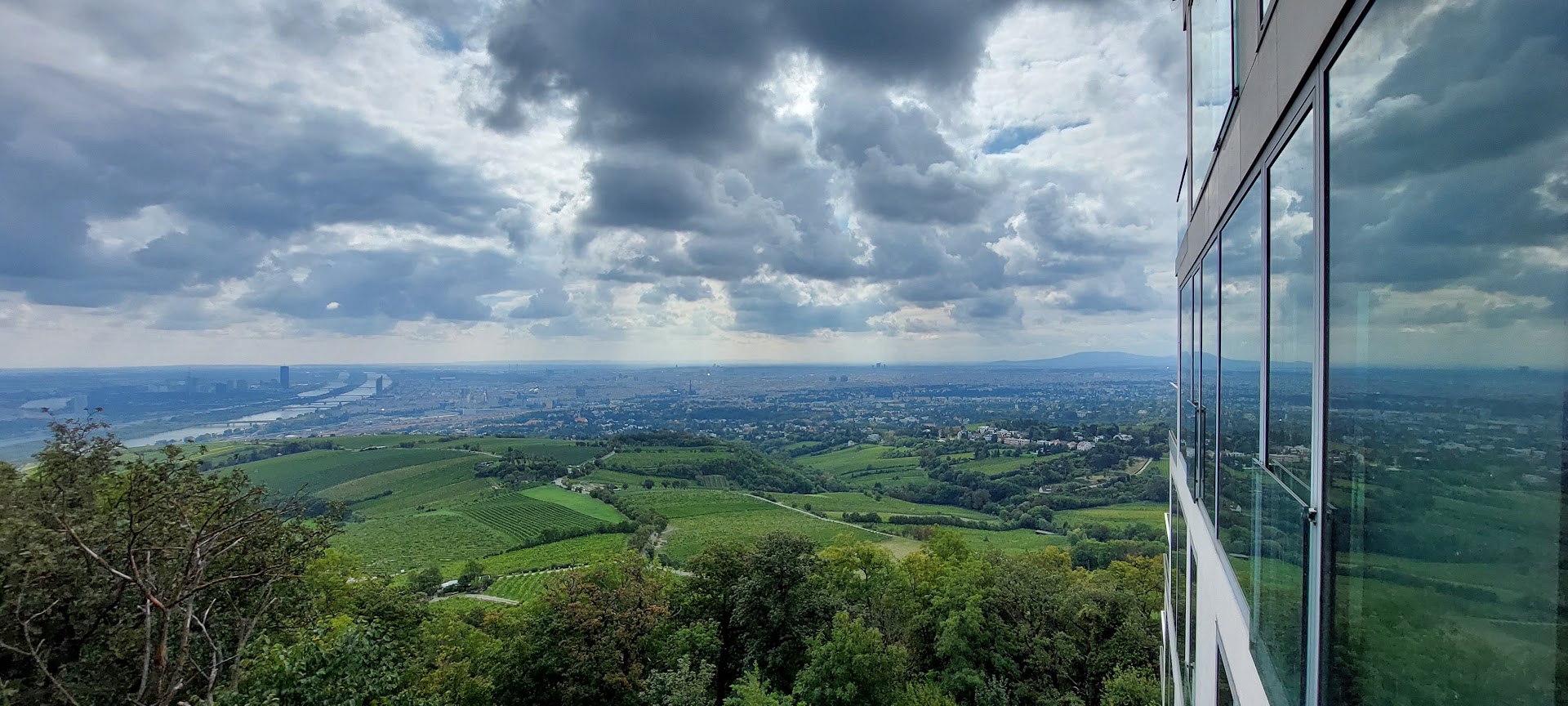 Vinom iz centra grada ponose se Beč i Pariz, a grožđe je nekad raslo i usred Zagreba