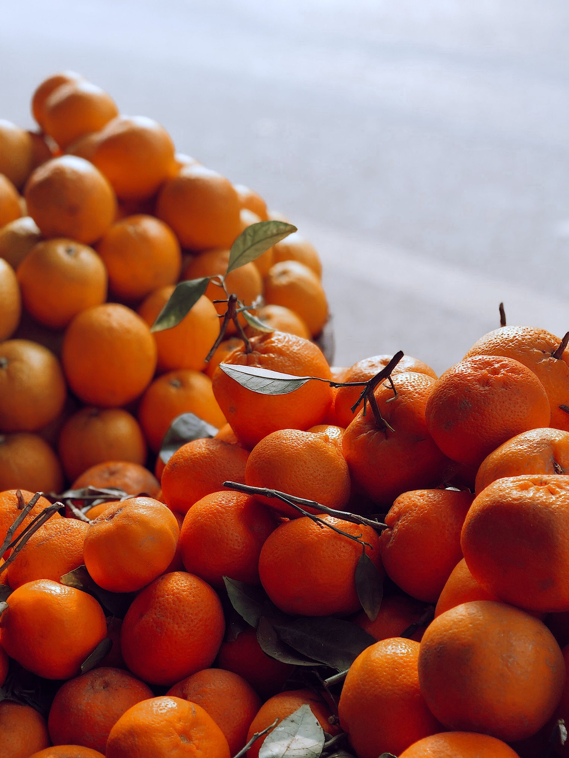 Zbog jednog pojedinca uništeno je oko 10 tona domaćih mandarina: Koristio je zabranjenu supstancu