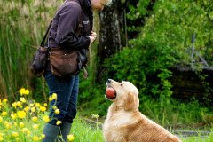 Jasper-au-travail-5