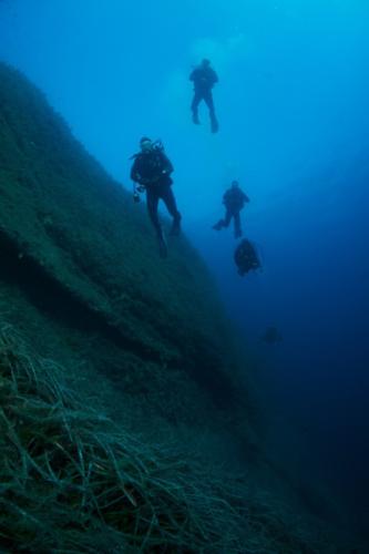 Decompressing on the reef