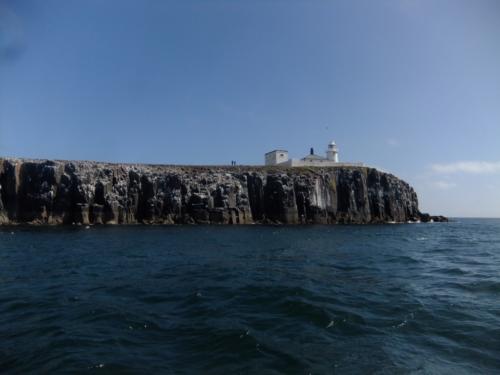 Early Season Diving on the Farnes