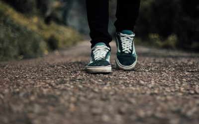 Baseline for CO2-Rapportering: Dit første skridt mod bæredygtighed