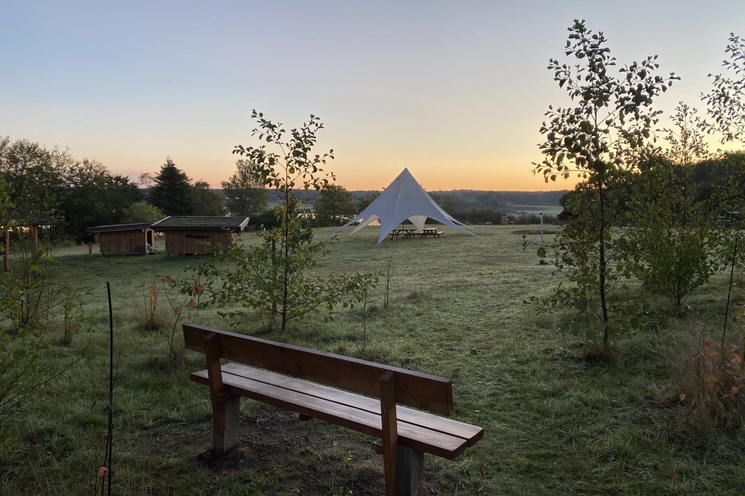 Teamudvikling i naturen - på "mit sted" Haldbjerg Naturcampus