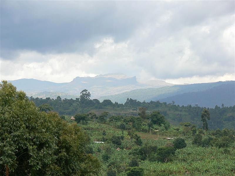 Elgongebirge