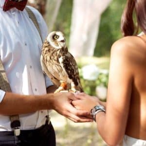 Wedding Ceremony Elements | The Wedding Ring Courier