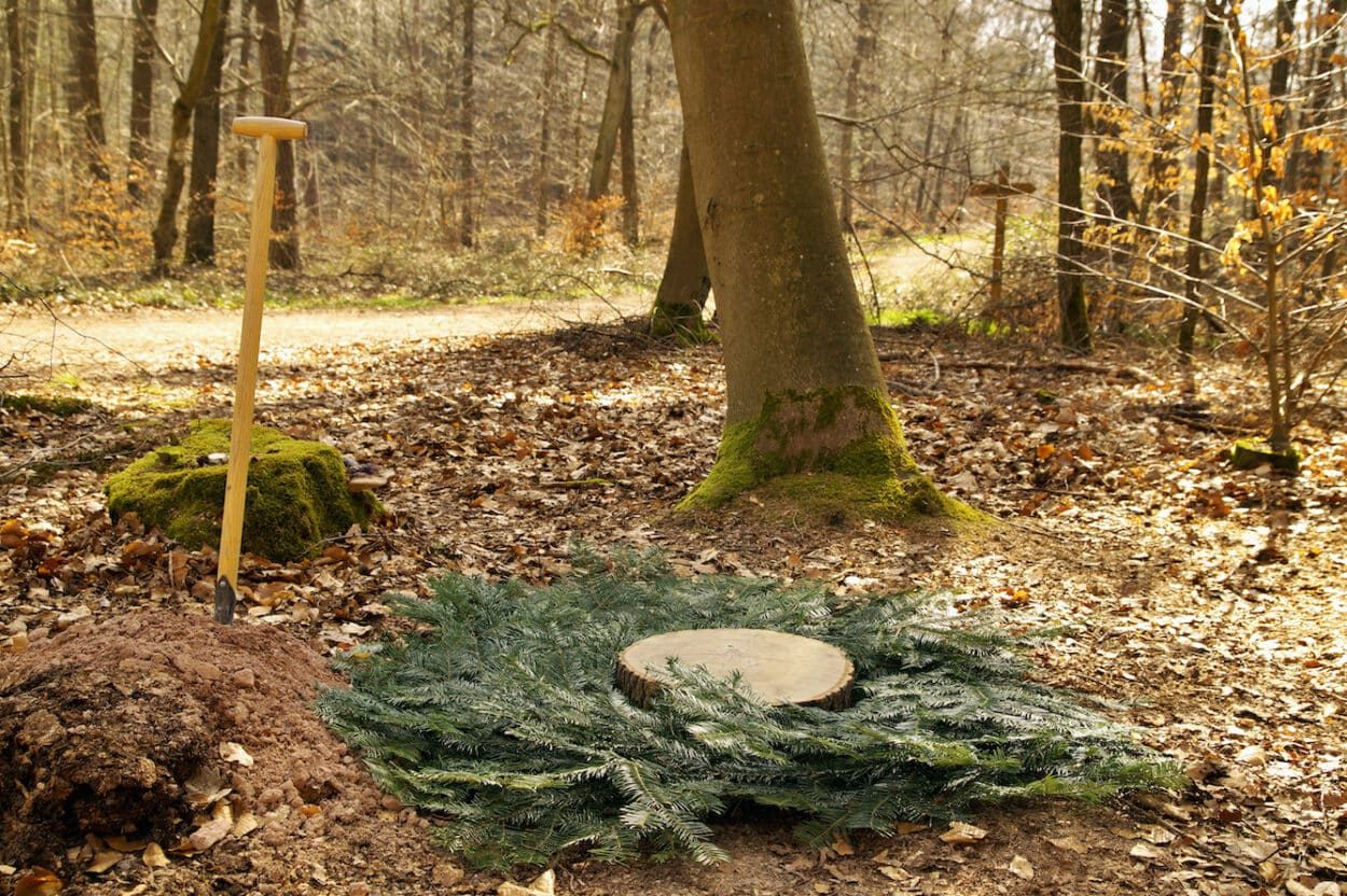 natural woodland burial site