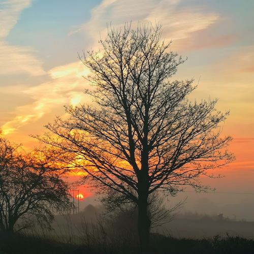 elaine-sanderson-funeral-celebrant-spilsbly