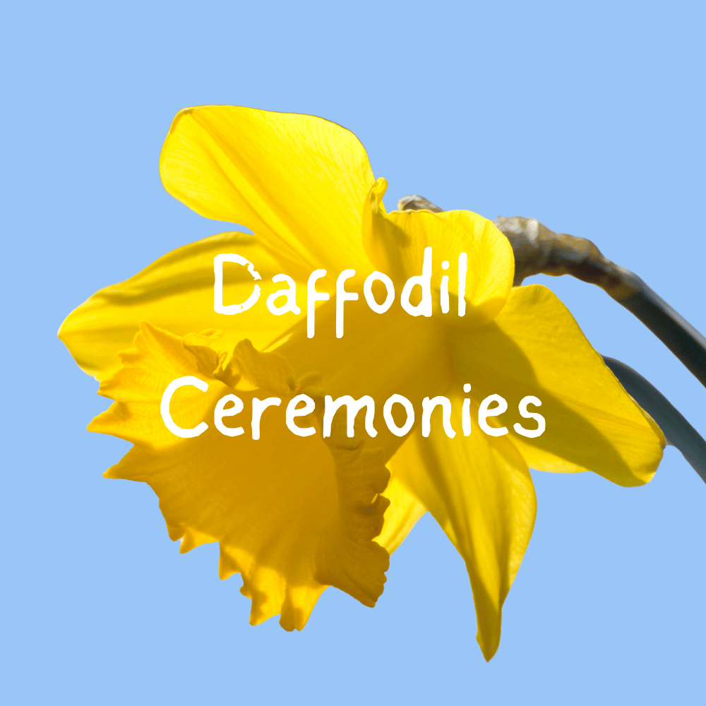 Daffodil Ceremonies Helen Adam Wedding Celebrant