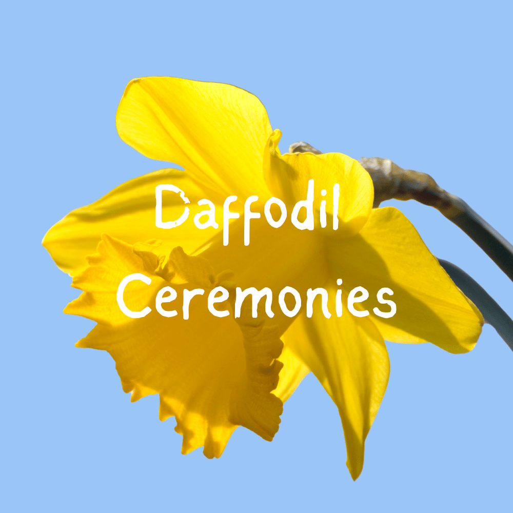 Daffodil Ceremonies helen Adam wedding celebrant