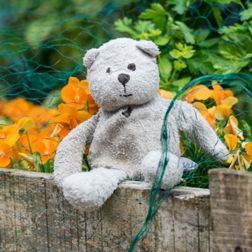 KarinJeff-Teddy