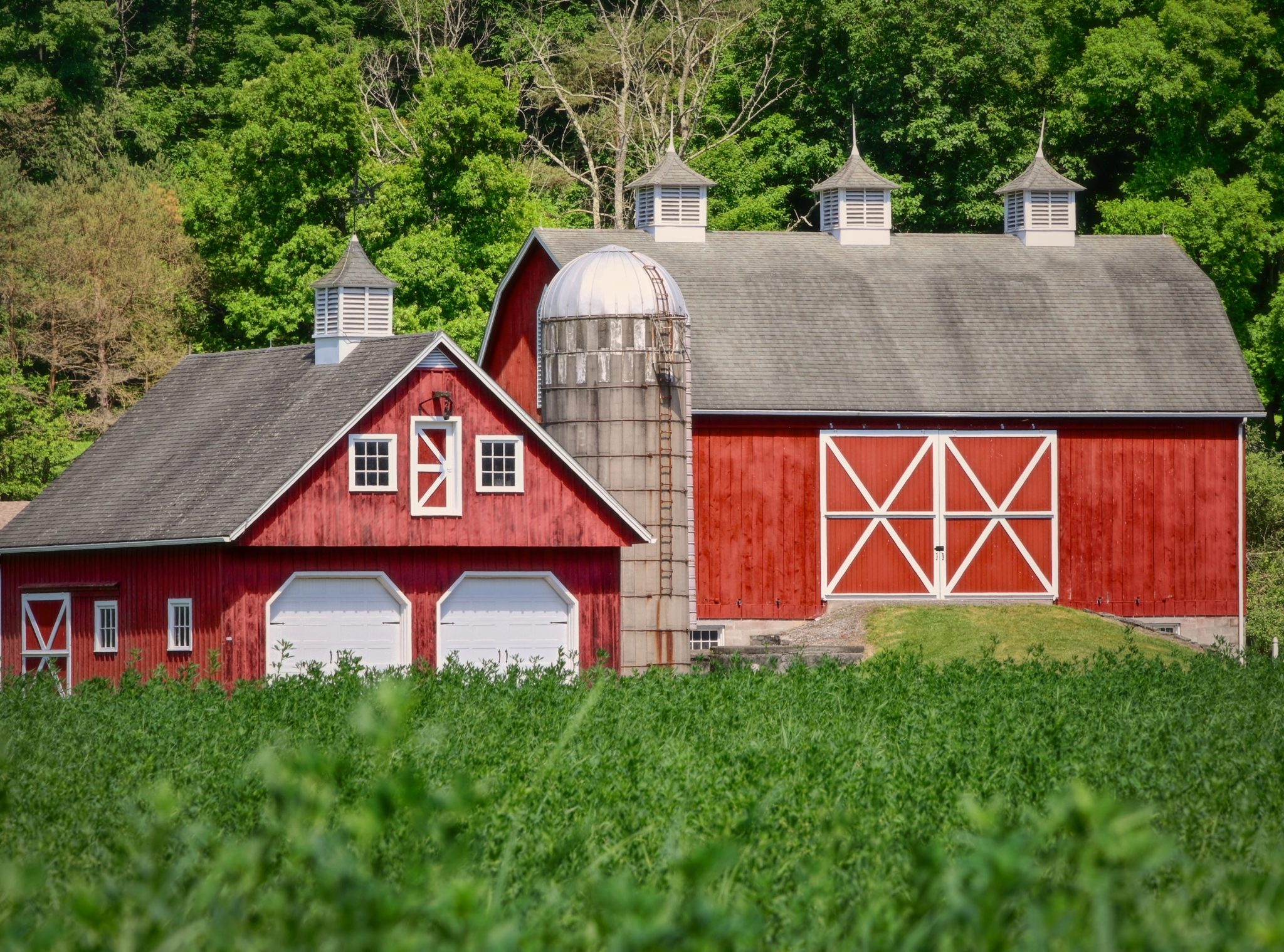 purchase mixed use property - UK Stamp Duty Claims sunny scenery farm territory with two barns
