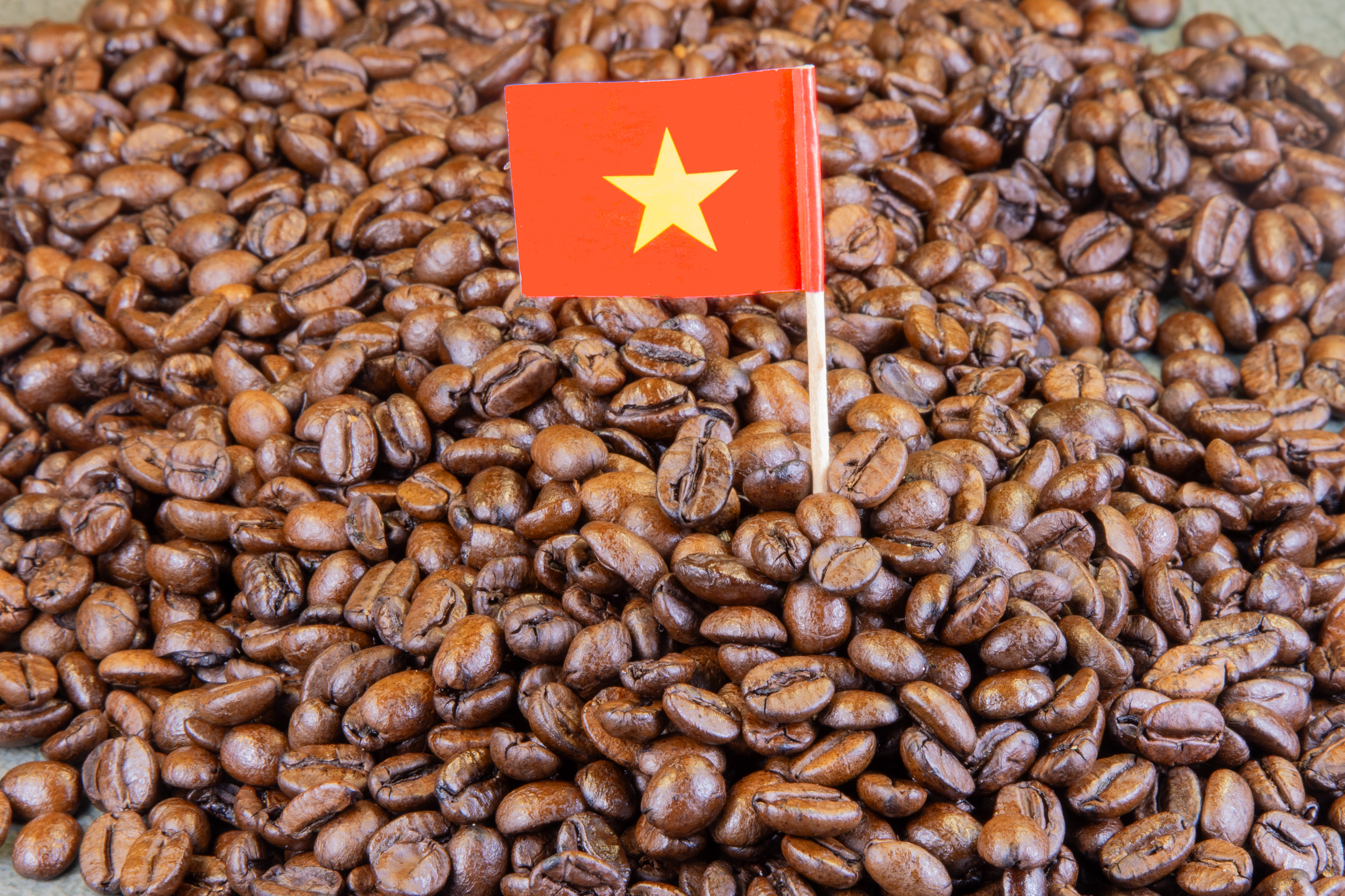 coffee vietnam