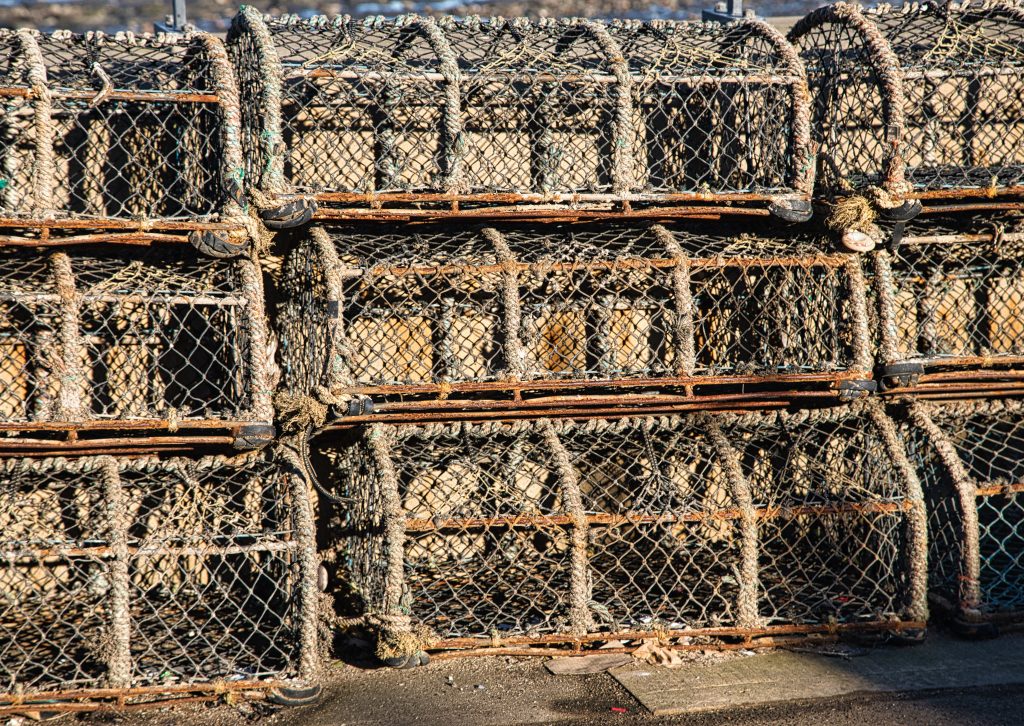 Crab pots against the sea wall in Redcar on a sunny but cold day 1 crabtraps1160125