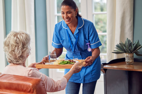 Meal Preparation and Nutrition Support