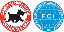 DKK-FCI