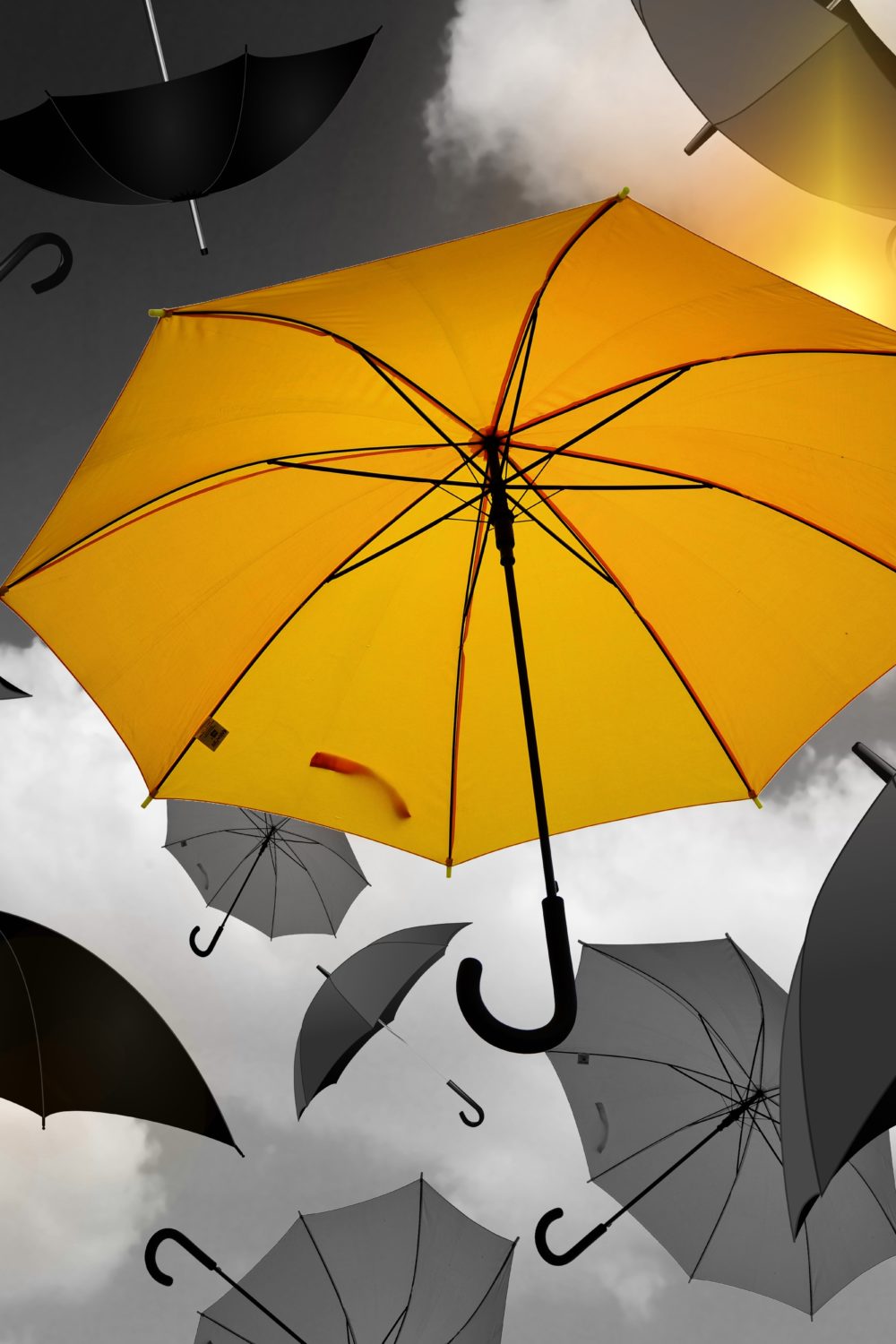 Umbrella Image