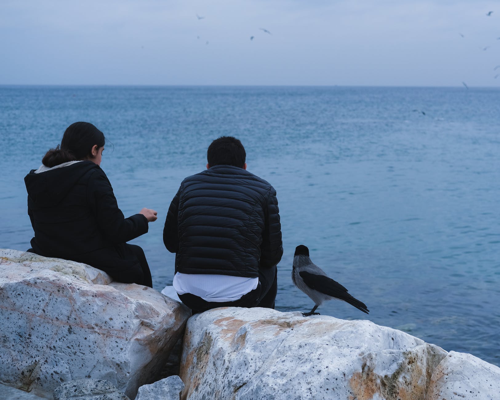 couple sitting on rocks facing the ocean