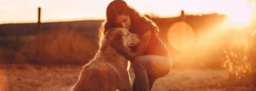 young woman hugging golden retriever dog in countryside at sundown