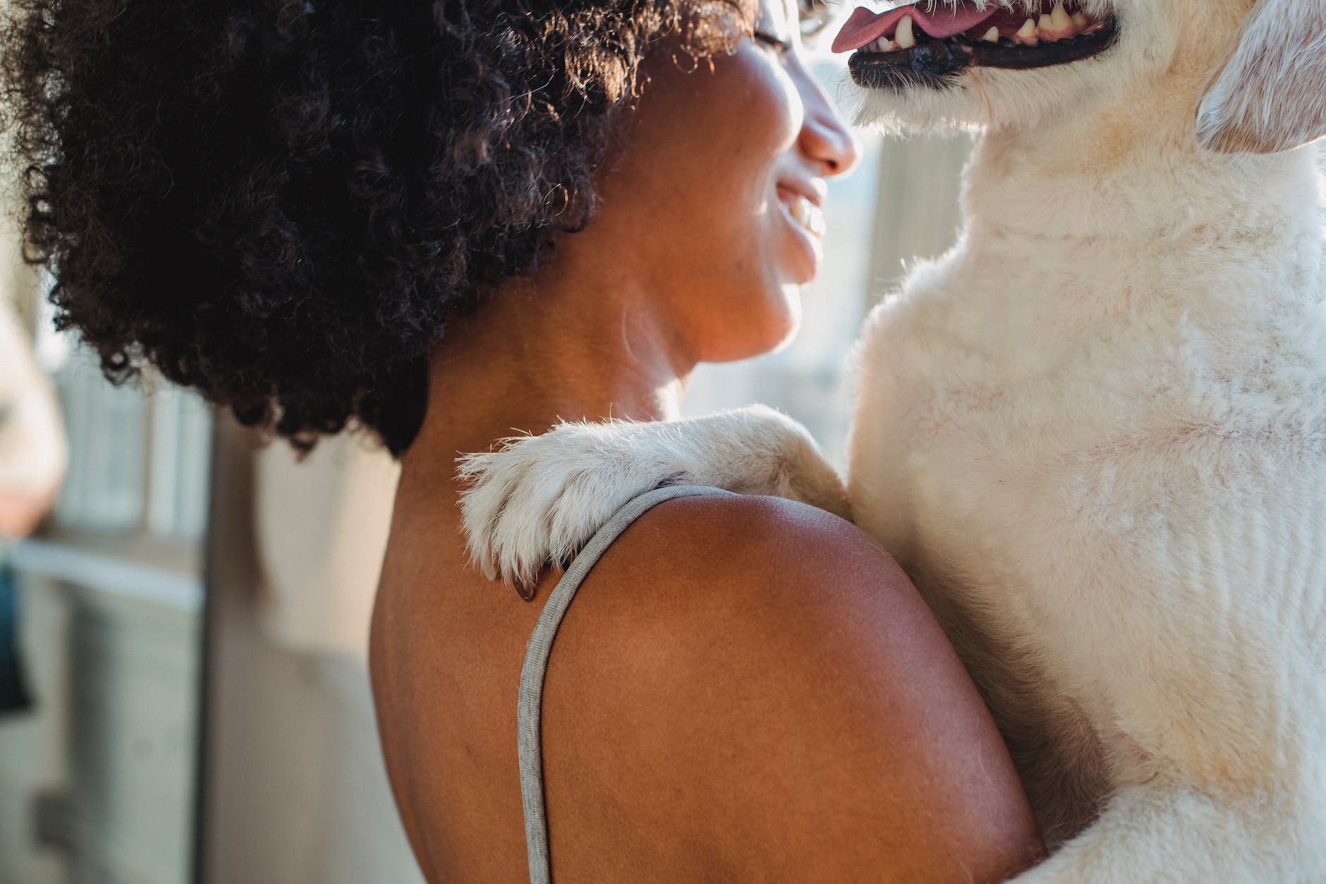 crop black woman holding dog