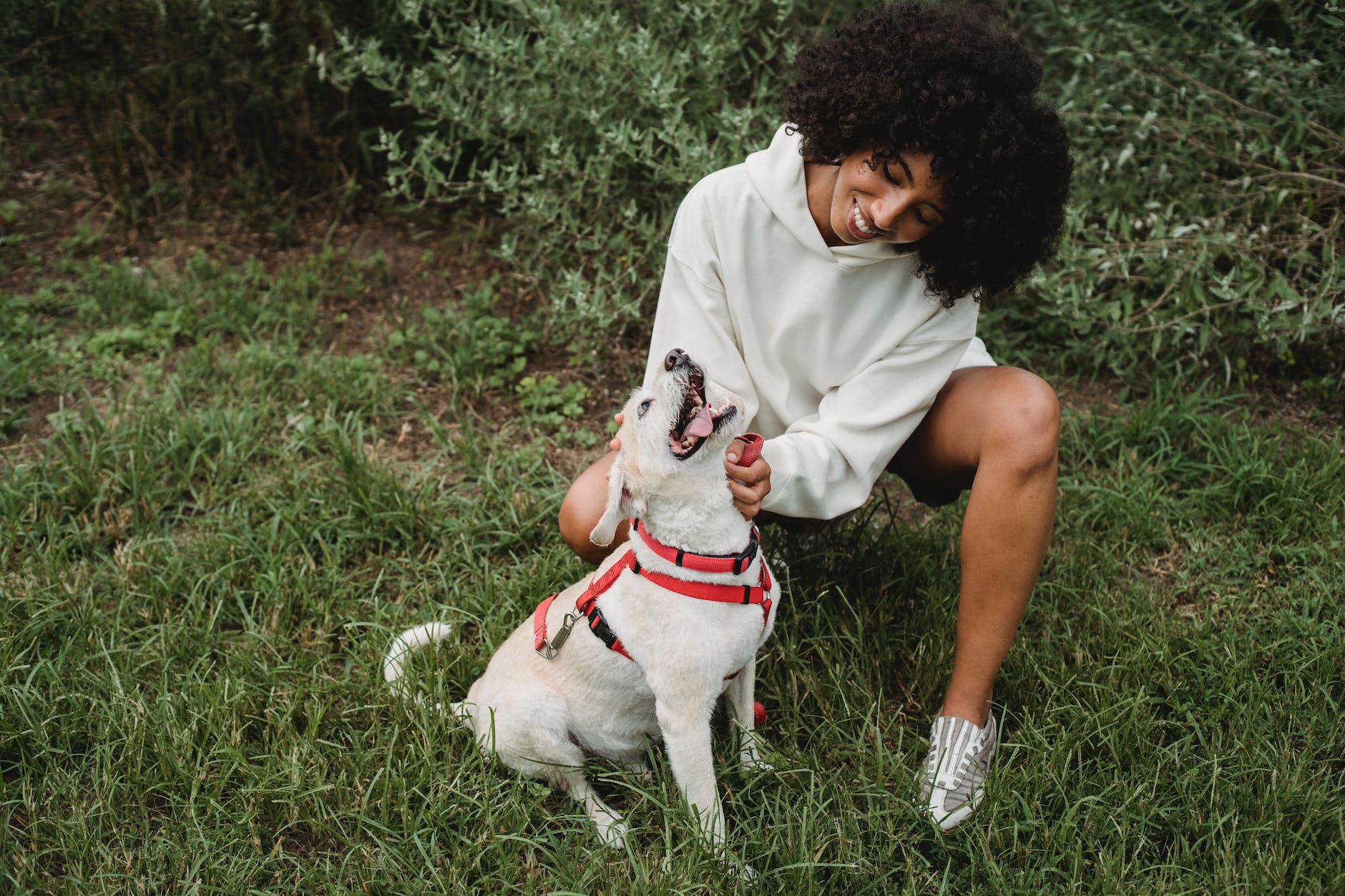 happy black woman petting dog in park