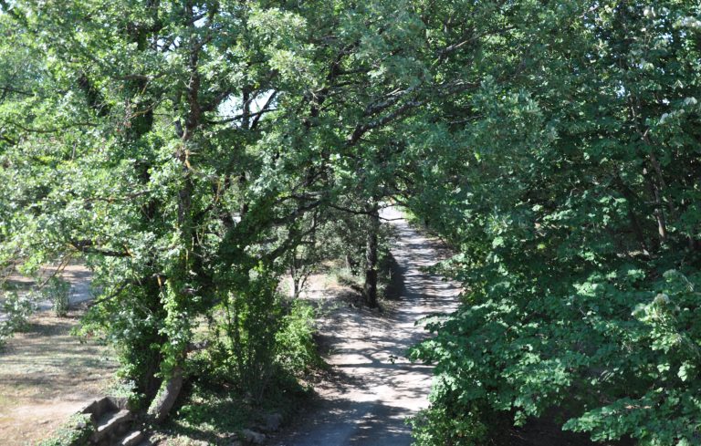 Chambres d'hôtes les Vignes en Cévennes la nature