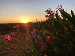 Chambres d'hôtes pour retraite Cévennes