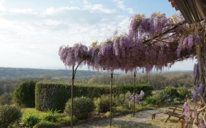 Maison d'hôtes Cévennes, Une Pause En Douceur