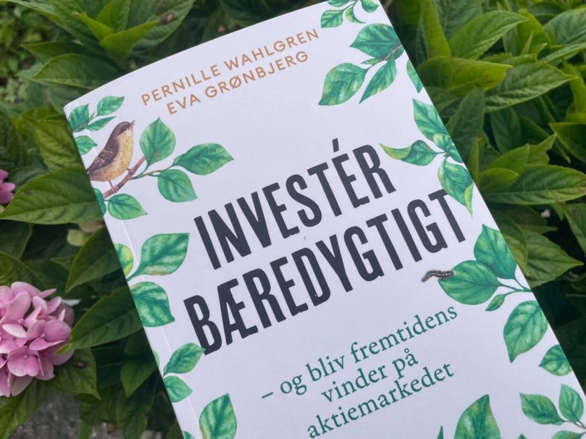 Invester bæredygtigt - bog