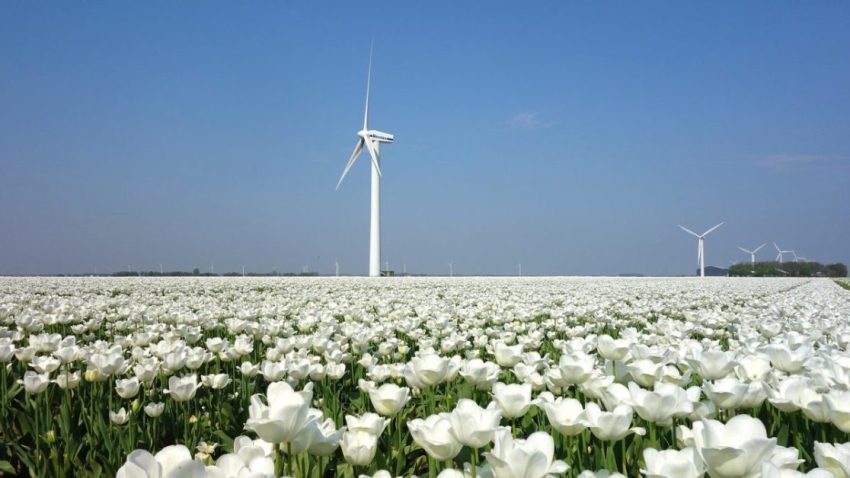 Vestas kursmål