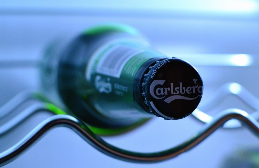 Carlsberg udbytte 2024