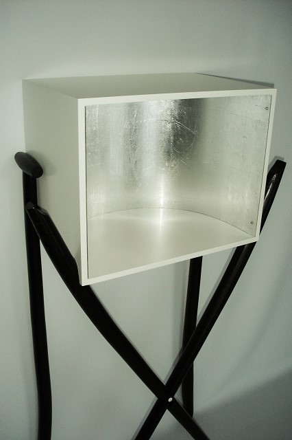 show cabinet 2